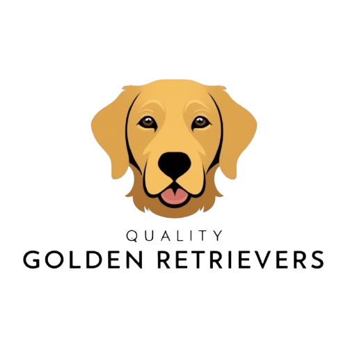 Quality Golden Retrievers